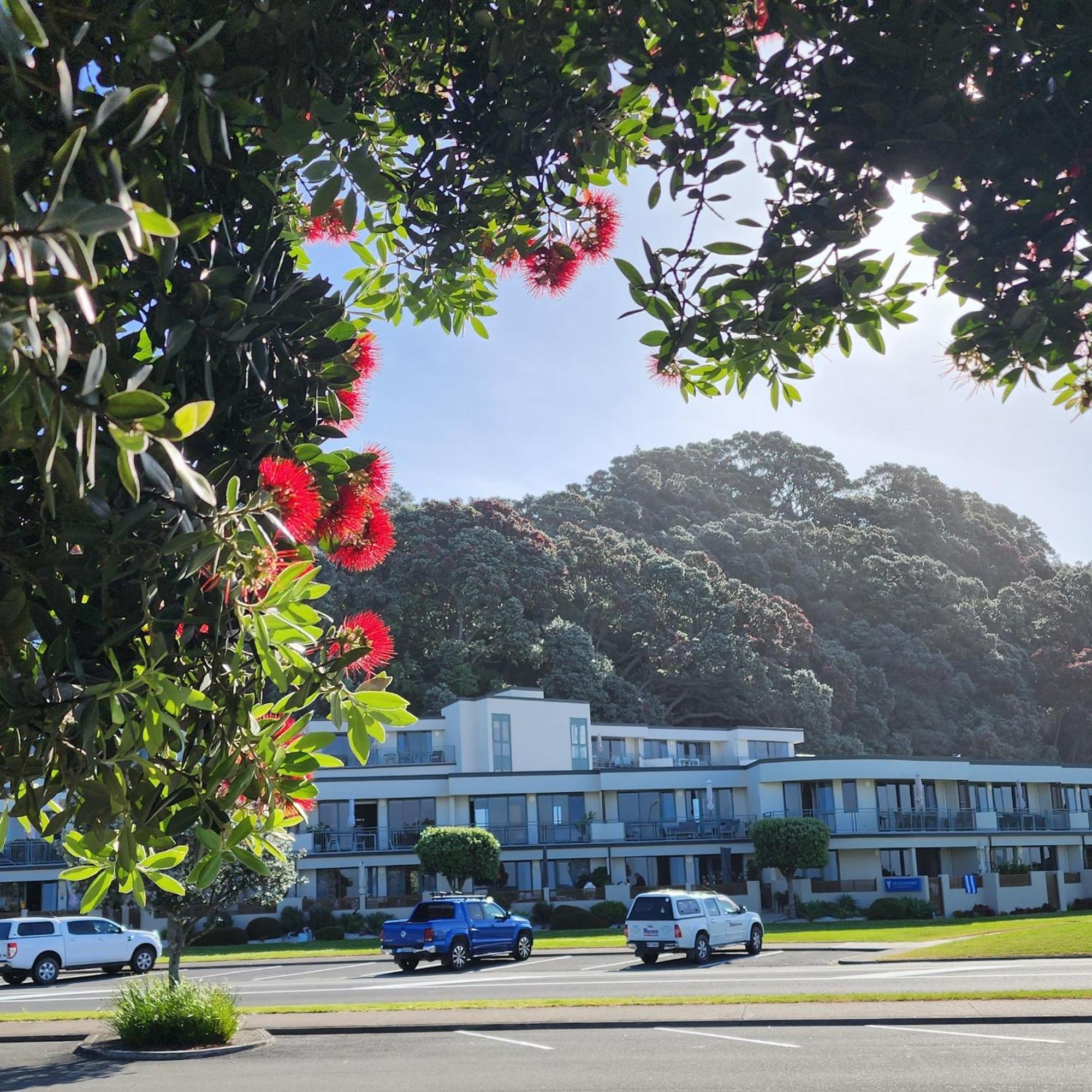 Beachpoint Apartments Ohope Exterior foto